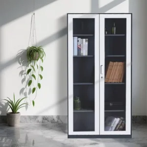 2 Door Glass Steel Lockable Office File Cabinet with Large Capacity for Home Office & Documents Books Storage