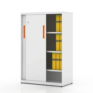 2 Door Metal Storage Cabinet Office Use Steel File Cabinet customized Cabinet