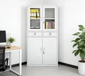 2 Door Metal Storage Steel File Cabinet with Safe Lock Glass Door Office Cupboard for Home Office & Workshop Panel Style