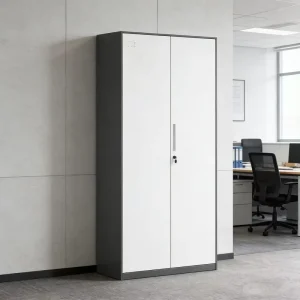 2 Door Steel Office Storage Cabinet with Lock Adjustable Shelves for File & Document Storage in Home & Commercial Use