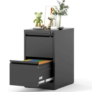 2 Drawer Home File Cabinet with Lock Deep Drawer Storage for Home Office Outdoor School and Workshop Use Under Desk