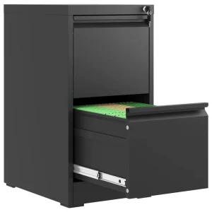 2 Drawer Lateral Steel File Cabinet Modern Eco Friendly Durable Letter Legal F4 A4 Size Office Storage Lock Adjustable Home