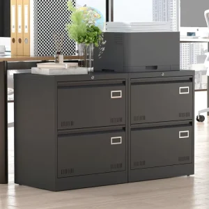 2 Drawer Metal Lateral File Cabinet with Lock Office Vertical Files Cabinet for Home Office Legal Letter A4