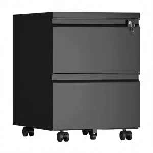 2-Drawer Metal Mobile Filing Cabinet with Anti-Tipping Wheels Lock Dustproof Compact Design for Home Office (Black)