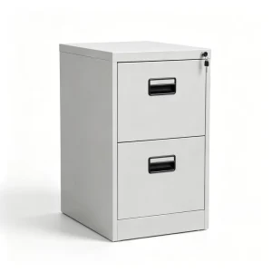 2 Drawer Moisture Proof Steel File Cabinets Large Storage Grey White for Office Finance Room