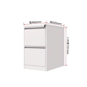 2 Drawer Steel Filing Cabinet A4 FC Hanging File Folder Drawer Type Metal Office Document Storage Archive Cabinet