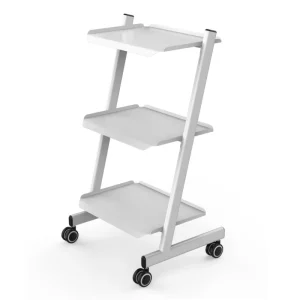 3 Tier Rolling Trolley on Wheels Heavy Duty Metal Frame for Beauty Salon Spa