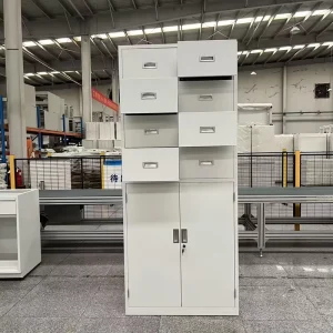 8 Drawer Cold Rolled Steel Storage Cabinet 2 Door Lockable Medical Supply Cabinet for Pharmacy Lab Dental Clinic