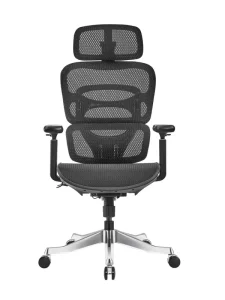 A008 Luxury Office Chair Modern Design Adjustable Ergonomic Revolving Nylon Base for School Office