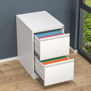 A4 Lever Arch File Vertical Disassemble Office Staff Storage Metal White Narrow 2 Drawer Steel File Cabinet