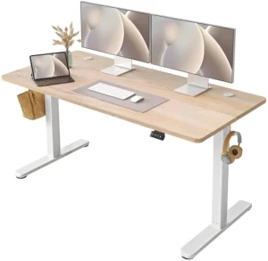 AJUNION Electric Standing Desk Adjustable Height 55 x 24 Inch Stand Desk Home Office Ergonomic Workstation Computer Desk