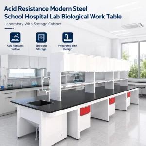 Acid Resistance Modern Steel School Hospital Lab Biological Work Table Workbench Laboratory with Storage Cabinet