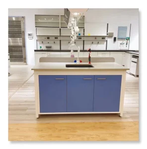 Acid Resistant Laboratory Bench Hospital Lab Tables School With Cabinet Lab Furniture