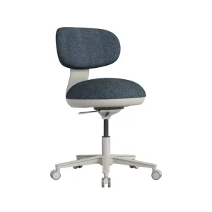 Adjustable Height Activity Office Chair Ergonomic Office Chair Home School Laboratories Office Chairs with Backrest