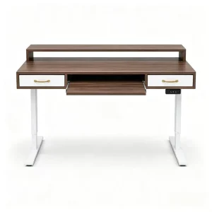 Adjustable Height Electric Standing Desk with Drawers Motorized Sit Stand Office Computer Storage Workstation for Home Office