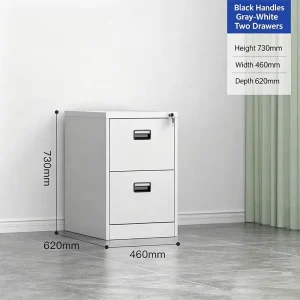 Adjustable Modern Metal Lockable Filing Cabinet with Customized Size for Home Office and Commercial Use