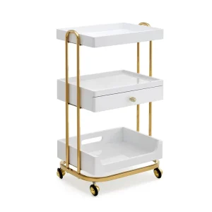 Aesthetic Beauty Salon Furniture Beauty Dental Trolley Multi functional Medical Cart for Beauty Salon