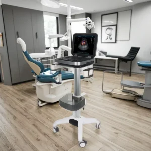 All One Mobile Medical Computer Trolley Workstation VESA Dental Clinic Hospital Use Ultrasound Equipment for Hotel Application