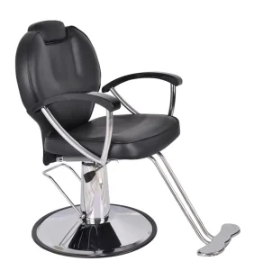 All Purpose Chair Hydraulic Recline Barber Shop Equipment Style Chair