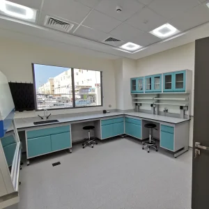 All Steel Biology Laboratory Work Bench Equipment School Lab Furniture