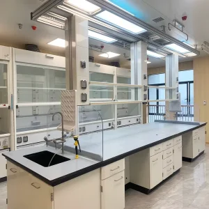 All Steel Laboratory Furniture Corrosion Resistant and Acid Resistant Table