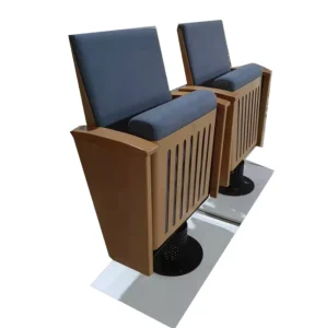 Amphitheater Hall Seating Teatro Auditorium Chair in Theater Furniture