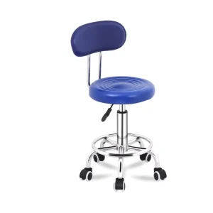 Anti static Industrial Chair Workbench Chair with Backrest
