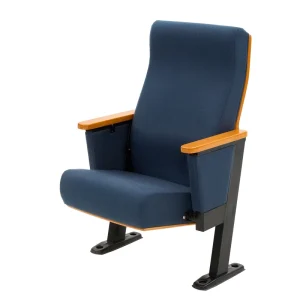 Auditorium Folding Metal Cinema Theater Chairs Public Seats for Row & Lecture Hall Direct Factory Supply