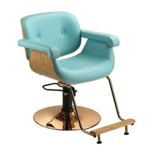 BEIMENG Barber Chair Portable Barber Chair Beauty Furniture Pump Hydraulic