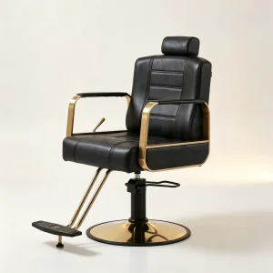 Barber Chair with Hydraulic Pump Durable Styling Chair for Hair Salon Mirror Station High Quality General Salon Chair