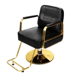 Barber Furniture Chairs Salon Metal Base Rotated Up and Down