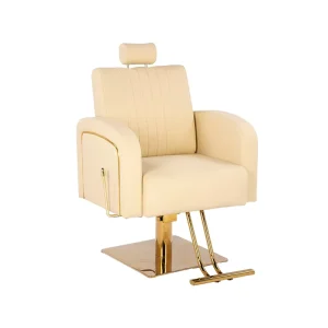 Barber Shop Professional Hair Salon Hairdressers Chairs Multifunctional Barber Chair