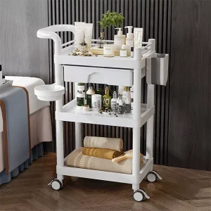 Beauty Salon Cosmetic Aesthetic Trolley Beauty Assistant Cart