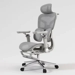 Breathable Gray Full Mesh Ergonomic Office Chair with Adjustable Lumbar Support 6D Armrests for Home Office Gaming