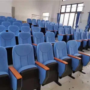 Chaise De Cinema Stadium Seating Auditorium Theater Chairs