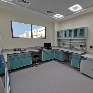 Chemical Lab Work Bench Microbiology Lab Table School Laboratory Furniture Metal Iron