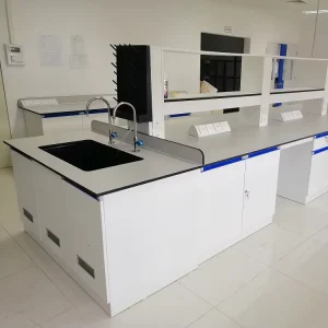 Chemical Physical Lab Benches H Frame Steel Cabinet Lab Benches for Hospitals Use