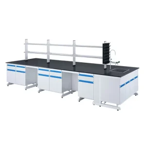 Chemical Resistant Bench Lab Table Physics Laboratory Work Bench School Laboratory