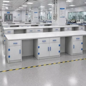 Chemical Resistant PP Laboratory Workbench Lab Desk with Large Storage Cabinet and Drawer for School Hospital Lab