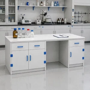 Chemical Resistant PP Laboratory Workbench Lab Desk with Storage Cabinet and Drawer for School Hospital Lab