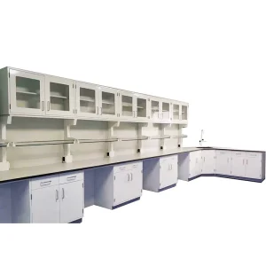 Chemistry Biology and Physics Laboratories Equipment Lab Side Table Floor Mounted All Steel Lab Work Bench