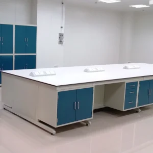 Chemistry Lab Furniture Epoxy Resin Steel Lab Table and Workbench with Modern Design for Commercial Use