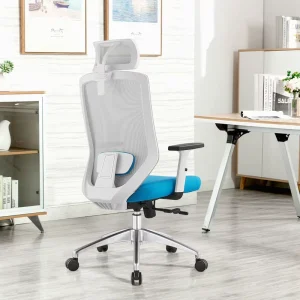 China Best Executive Ergonomic Adjustable Mesh Office Chair and Desk Set for Home Office