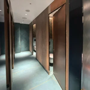 China Factory DEBO Easy Clean Decorative High Pressure Laminate Toilet Partitions Compact Honeycomb School Graphic Design