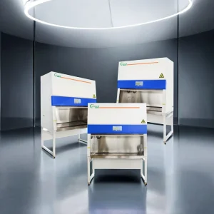 Class II Type A2 Biosafety Cabinet BSC 1000IIA2 HEPA Filter UV Lamp CE ISO Certified Laboratory Safety Workstation