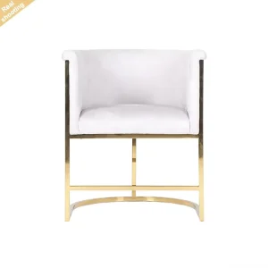 Classic Designer Chair Golden Stainless Steel Frame Armchair Lounge Chair Living Room Sofa Chair for Home Hotel