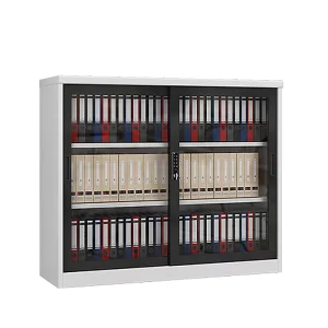 Classic Style Provides Strong Support for Office Glass Door Storage Cabinets Steel Cabinets for Data Storage