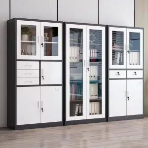 Color coordinated Office Storage File Cabinet with Lockable Compartment for Documents Archives Vouchers and Office Supplies