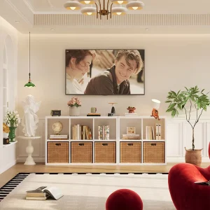 Combination TV Cabinet White Steel Finish for Living Room and Hallway