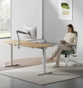 Commercial Ergonomic Sit Stand Workstation Motor Electric Height Adjustable Desk Smart Anti Collision Electric Standing Desk